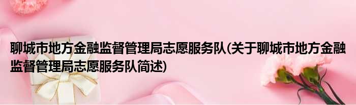 聊城市地方金融监督管理局志愿服务队(关于聊城市地方金融监督管理局志愿服务队简述)