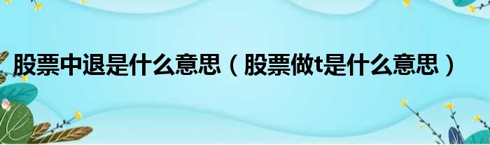 股票中退是什么意思（股票做t是什么意思）