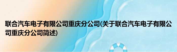 联合汽车电子有限公司重庆分公司(关于联合汽车电子有限公司重庆分公司简述)