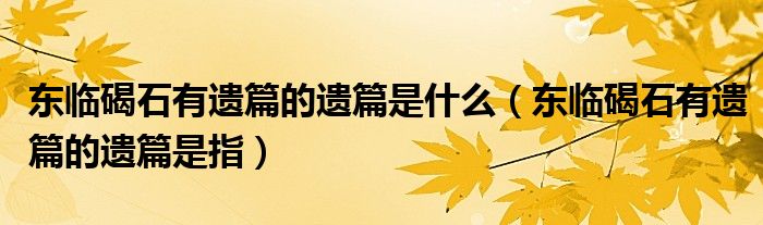 东临碣石有遗篇的遗篇是什么（东临碣石有遗篇的遗篇是指）