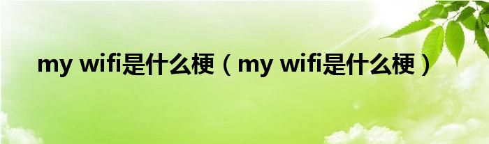 my wifi是什么梗（my wifi是什么梗）