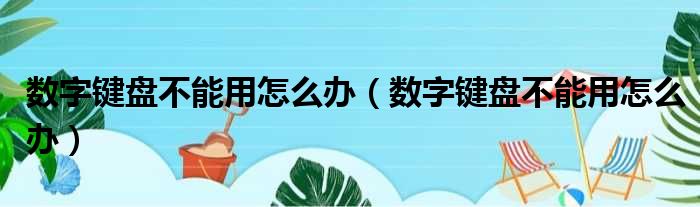 数字键盘不能用怎么办（数字键盘不能用怎么办）