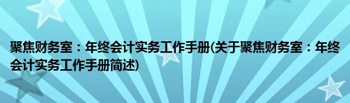 聚焦财务室：年终会计实务工作手册(关于聚焦财务室：年终会计实务工作手册简述)