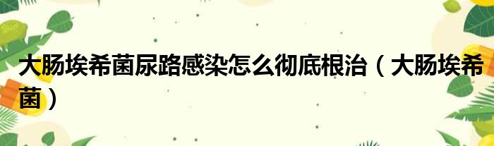 大肠埃希菌尿路感染怎么彻底根治（大肠埃希菌）