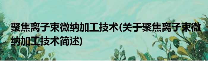 聚焦离子束微纳加工技术(关于聚焦离子束微纳加工技术简述)