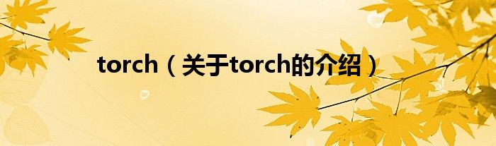 torch（关于torch的介绍）