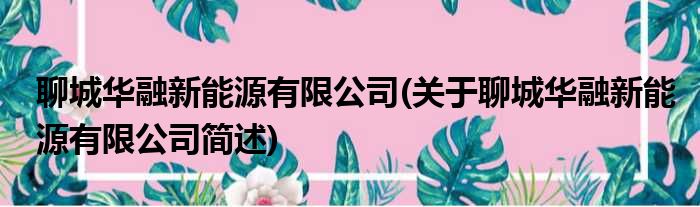 聊城华融新能源有限公司(关于聊城华融新能源有限公司简述)