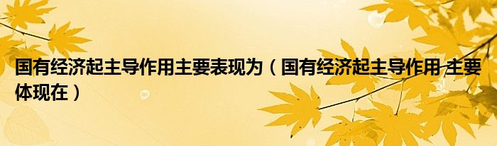 国有经济起主导作用主要表现为（国有经济起主导作用 主要体现在）