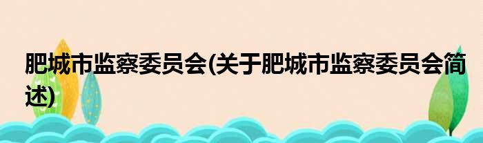 肥城市监察委员会(关于肥城市监察委员会简述)