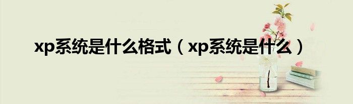 xp系统是什么格式（xp系统是什么）