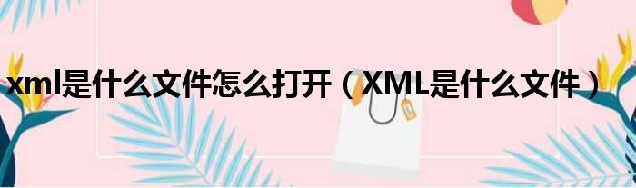 xml是什么文件怎么打开（XML是什么文件）