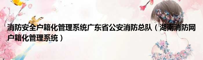 消防安全户籍化管理系统广东省公安消防总队（湖南消防网户籍化管理系统）