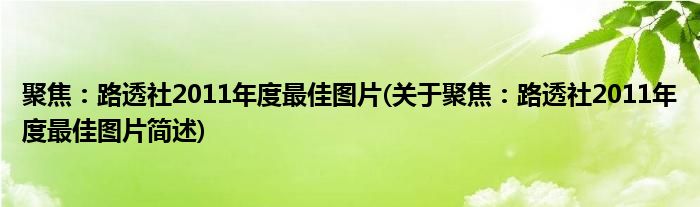 聚焦：路透社2011年度最佳图片(关于聚焦：路透社2011年度最佳图片简述)