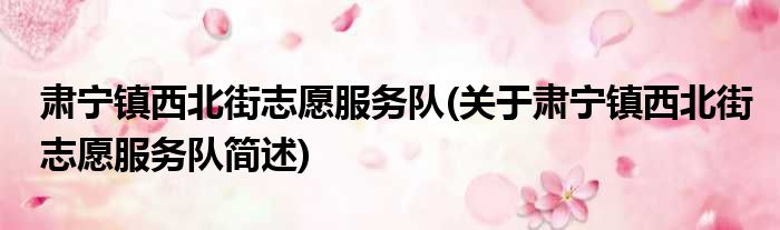 肃宁镇西北街志愿服务队(关于肃宁镇西北街志愿服务队简述)