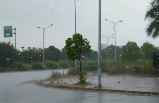  深圳12月会下雨吗？深圳12月降雨量怎么样