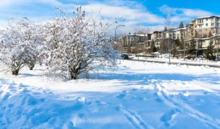 今年腊月会很冷吗2023-今年腊月会不会下大雪