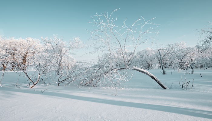 梦见滑雪场是什么征兆 