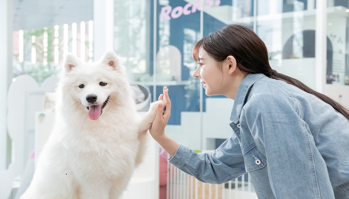 女人梦见自己打狗是什么预兆 