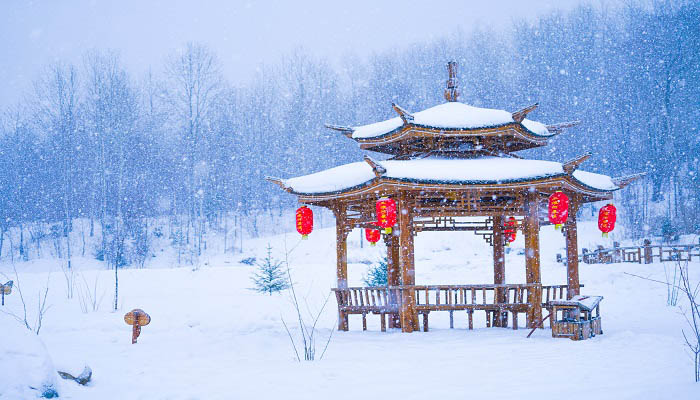 孕妇梦见下雪 