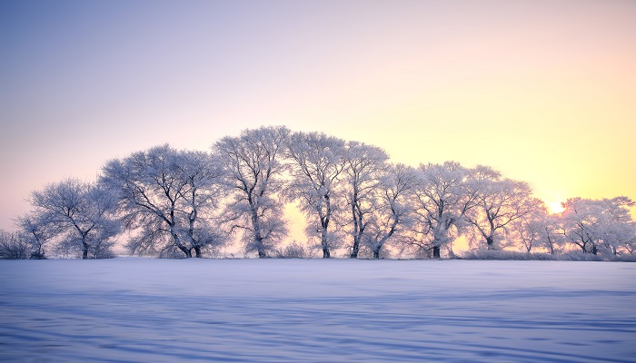 做梦梦见下雪是什么兆头 