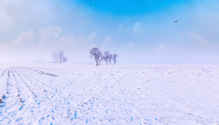 梦见滑雪场是什么征兆 