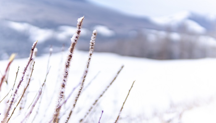 做梦下大雪是什么兆头 