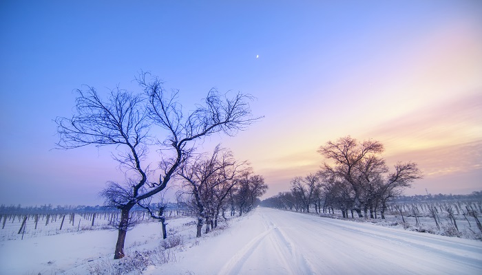 梦见下雪是要戴孝吗 