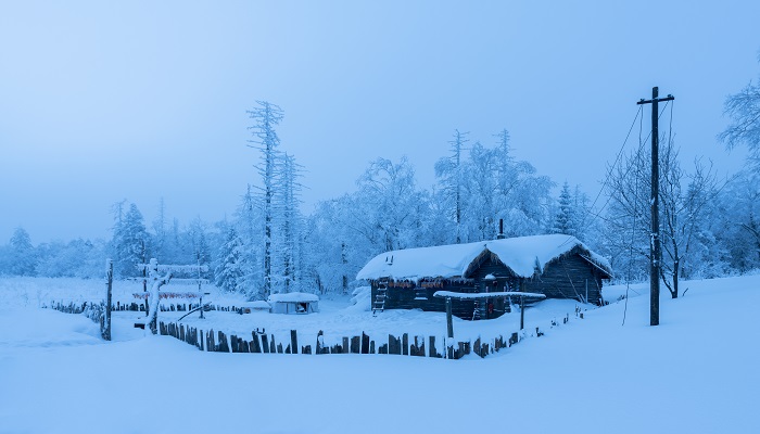 梦见在雪地里走是什么征兆 