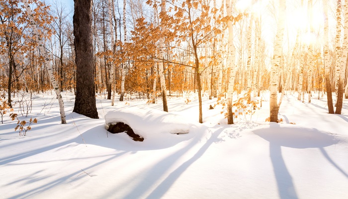 梦见清理积雪是什么征兆 