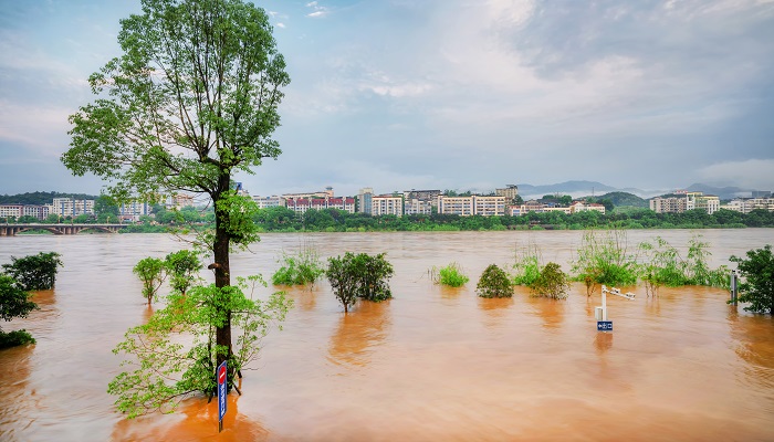 梦到涨水了把路都淹了是怎么回事 