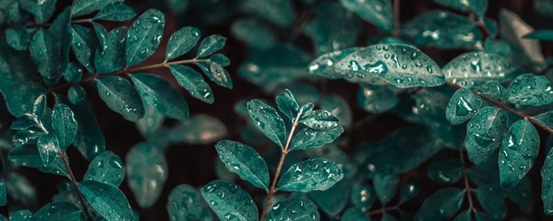 梦见自己冒着大雨前行 