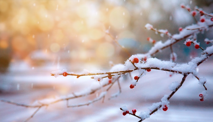 做梦梦见下雪是什么兆头 