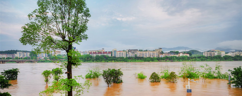 梦见下大雨涨水是什么征兆 