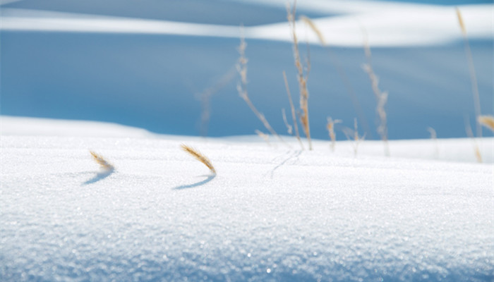 梦到到处都是厚厚的积雪 