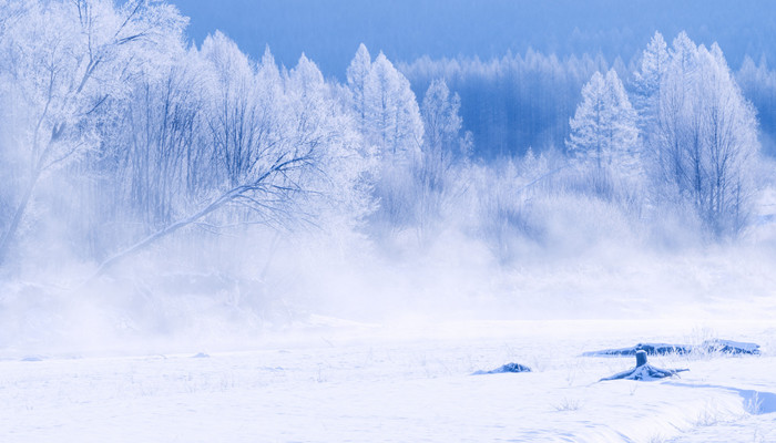 梦见下雪了是什么预兆 