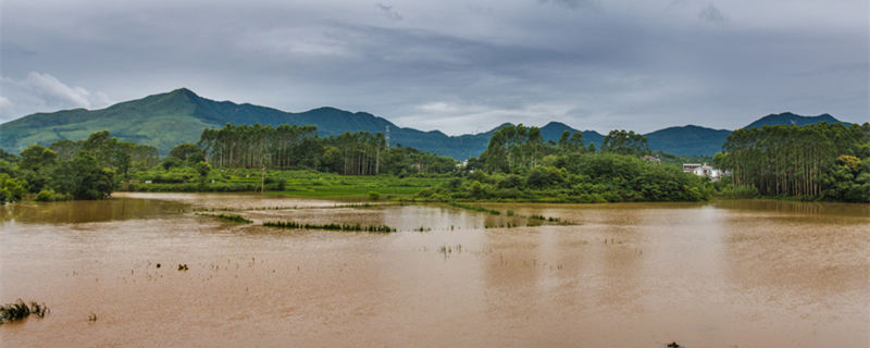 梦见涨大水是什么意思 