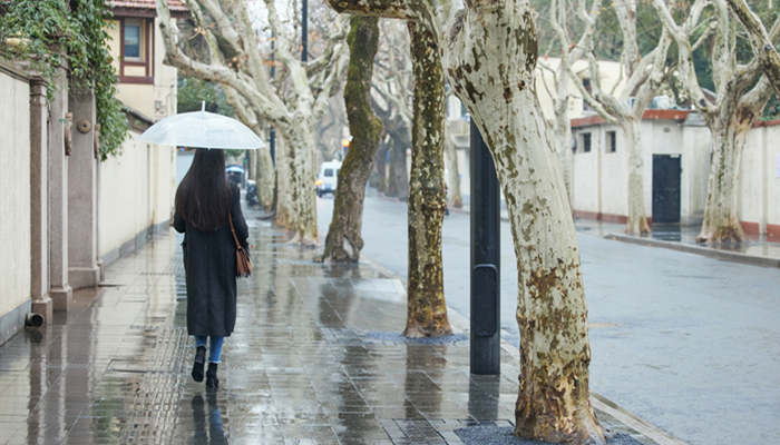 梦见下雨发洪水什么预兆 