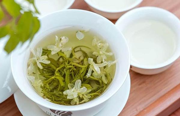 茉莉花茶是凉性的吗 为什么茉莉花茶苦