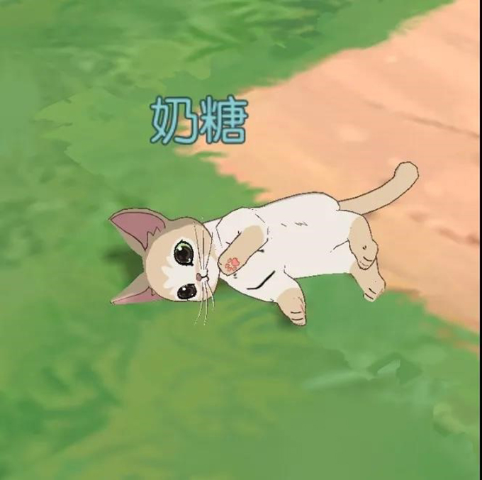 小森生活猫爪岛新版本评测