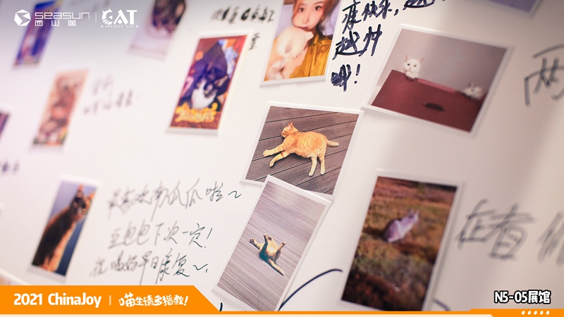 ChinaJoy现场撸猫！西山居《Project Cat》展区人类爱猫行为大赏