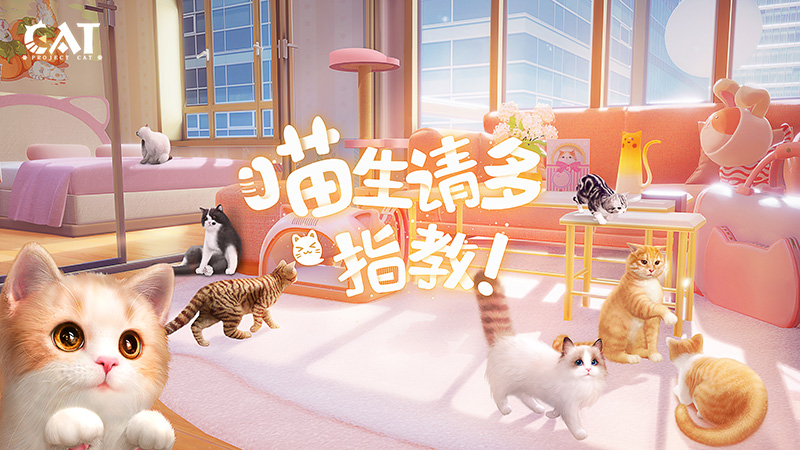 西山居治愈系猫咪养成新游《Project Cat》亮相ChinaJoy