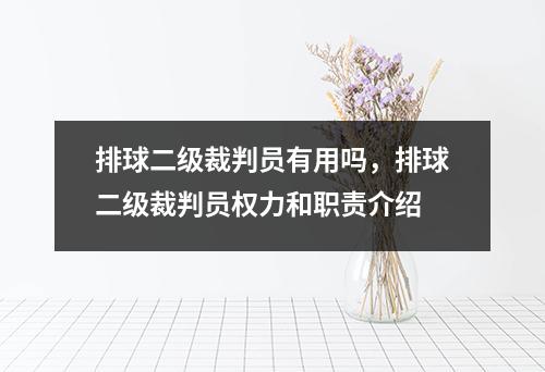 排球二级裁判员有用吗，排球二级裁判员权力和职责介绍