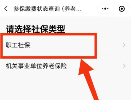 粤省事社保怎么查询交了几年，粤省事查询社保缴费年限教程