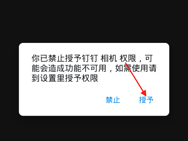 钉钉网课怎么开启摄像头，钉钉网课开启摄像头方法介绍