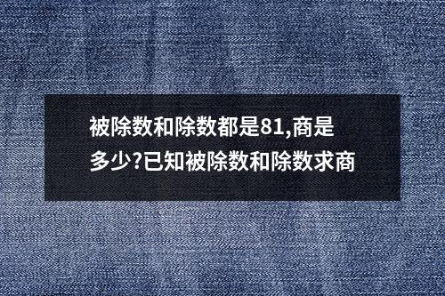 被除数和除数都是81,商是多少?已知被除数和除数求商