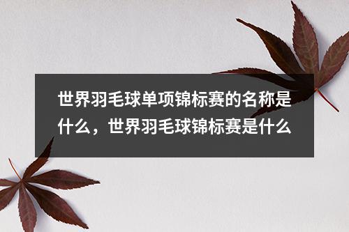 世界羽毛球单项锦标赛的名称是什么，世界羽毛球锦标赛是什么