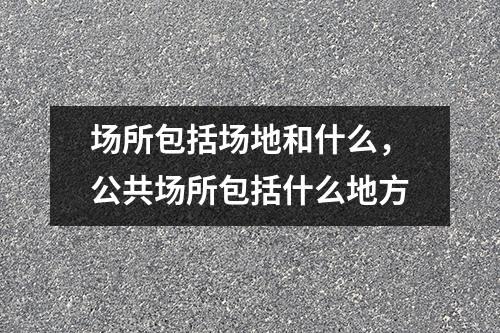 场所包括场地和什么，公共场所包括什么地方