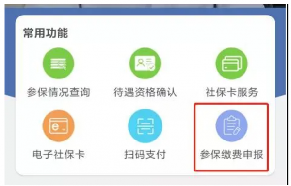 云南人社app怎么交养老保险，具体操作方法介绍