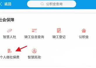 爱南宁怎么查询社保缴费记录，具体操作方法介绍