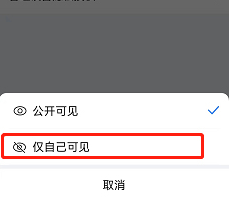 美篇为什么仅自己可见，美篇设置仅自己可见的方法